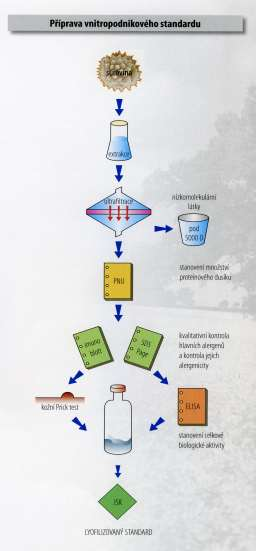 Schema