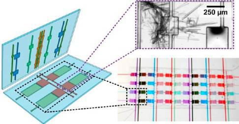 Cocrystallization screening on microfluid chips Combinatorial cocrystallization screening by