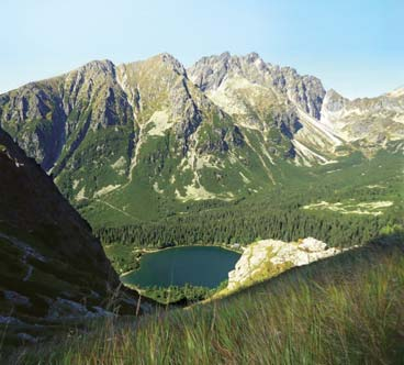 štátnou účelovou dotáciou sú poskytované hotelovou spoločnosťou SOREA v najatraktívnejších lokalitách Slovenska a v