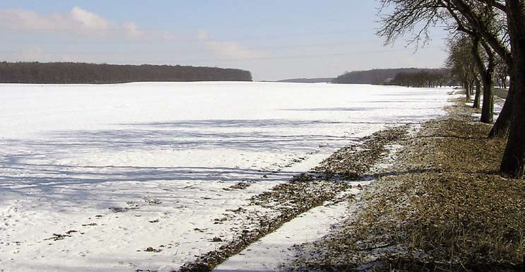 spolupráce s ČZU V Praze (odborný garant ing. Štranc ) a několikaleté pokusy zaměřené na výběr vhodných odrůd pro klimatické a půdní podmínky v ČR.