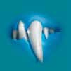 Dental Antiparasitic poloměkký funkční pamlsek pro dospělé psy & starší psy k zajištění každodenní ústní péče. doplňkové krmivo pro psy.