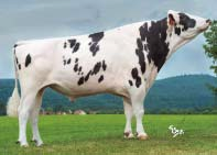 17500038046 2 305 13170 4,37 584 3,79 500 EX 90 ČESKÁ REPUBLIKA/ CZECH REPUBLIC 7/2015 Mléko Milk +1263 kg Fat 0,10 % +46 kg Bílkoviny Protein 0,15 % +31 kg Opakovatelnost Reliability 90 % (93