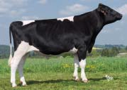 CZ 109459953 1 305 12567 3,06 385 3,35 421 VG 85 ČESKÁ REPUBLIKA/ CZECH REPUBLIC 7/2015 Mléko Milk +1059 kg Fat 0,09 % +38 kg Bílkoviny Protein +0,11 % +46 kg Opakovatelnost Reliability 91 % (99