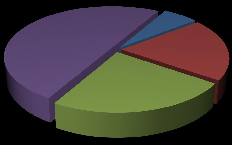 Délka praxe ve zdravotnictví: Tabulka č. 4 Délka praxe ve zdravotnictví Délka počet % 1 rok 10 6% 1-5 let 32 20% 5-10 let 38 24% 10 a více 80 50% Celkem 160 100% Graf č.