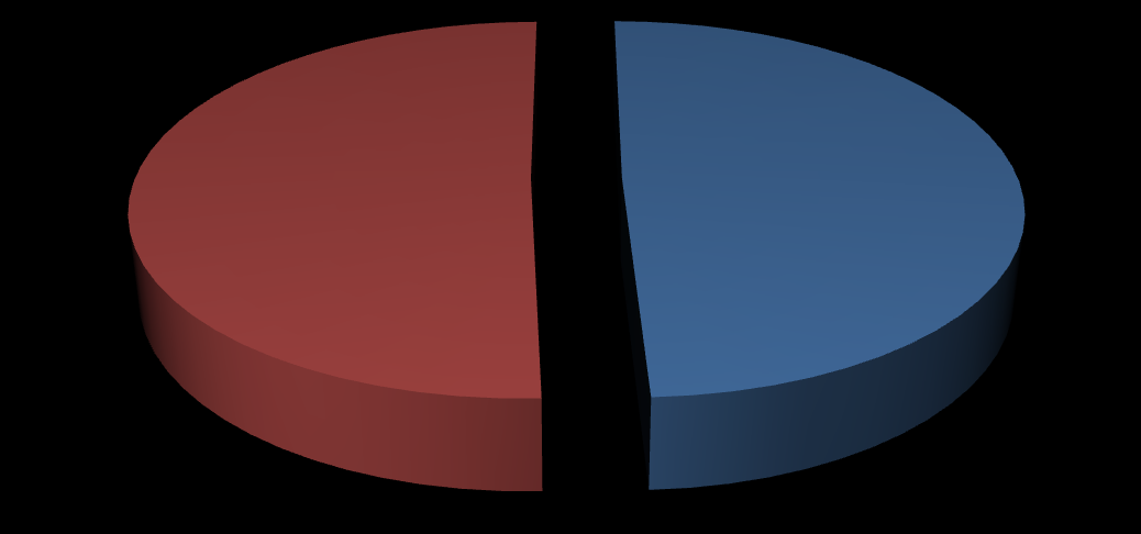 Graf 32 Spokojenost respondent ů s pracovní obuví Z celkového počtu odpovědí 160 (100%), bylo 100 (62%) odpovědí kladných a respondenti nejčastěji uváděli jako svůj způsob relaxace čtení