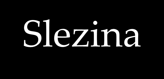 Slezina