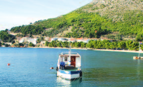 Možnost výletů na ostrov Hvar, Korčulu, do Makarské a do Dubrovníku. V místě je řada restaurací, barů a obchodů.