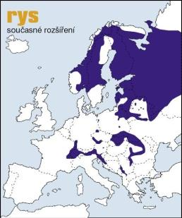 horských bezlesí nebo jehličnatých lesů v nižších polohách ČR 3 izolované populace: JV Morava (10 15 jedinců) Jeseníky (3 5