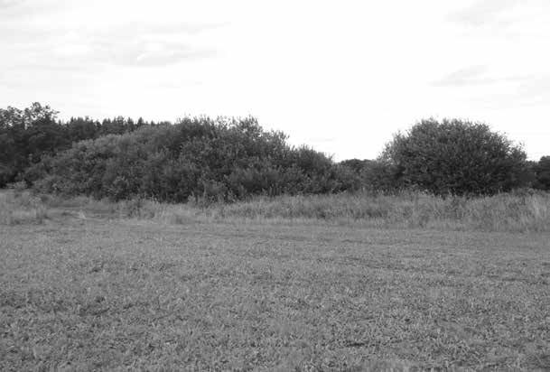 Obr. 2: Prostředí odchytu slavíka tmavého, Dolní Bousov, 30.7.2012. Foto: P. Kverek. Fig.