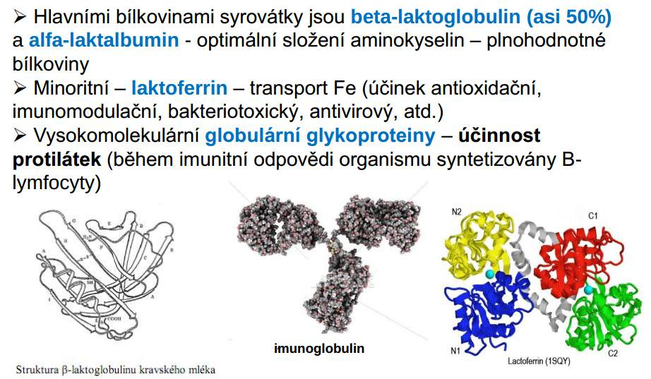 mléko: proteiny syrovátky hlavní bílkoviny syrovátky: β-laktoglobulin (cca 50%) α-laktoglobulin optimální složení AMK (plnohodnotné bílkoviny) minoritní: β-laktoglobulin