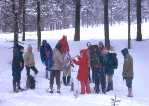 1965: Výsledky některých zimních