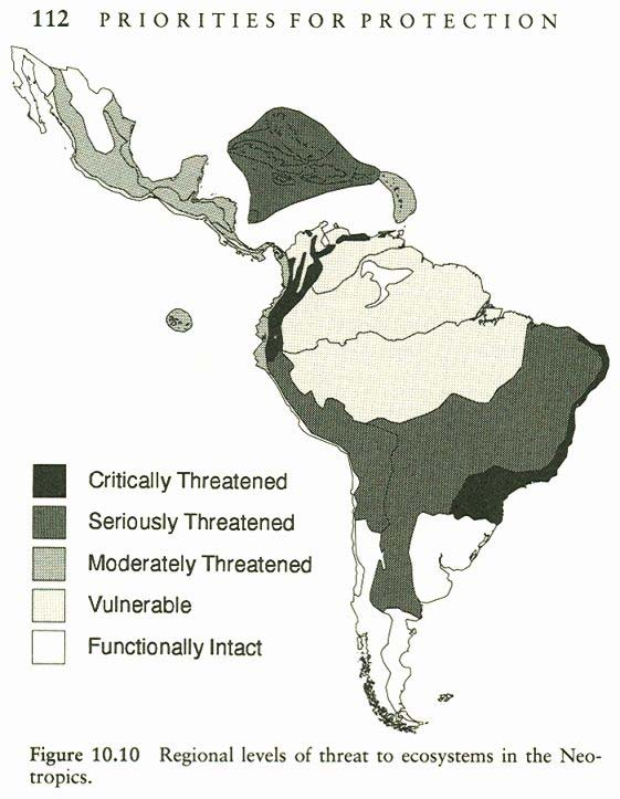 Amazonie kontra skutečné ochranářské priority Stotz D. F. et al. 1996: Neotropical birds. Ecology and conservation. Univ. Chicago Press, Chicago and London.