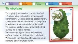 Návrh prípravy na vyučovaciu hodinu číslo 150 o rastlinách i zvieratách. Neboli to však rozprávky ani iné príbehy. Texty boli plné zaujímavých informácií, ktoré HUPS predtým nevedel.