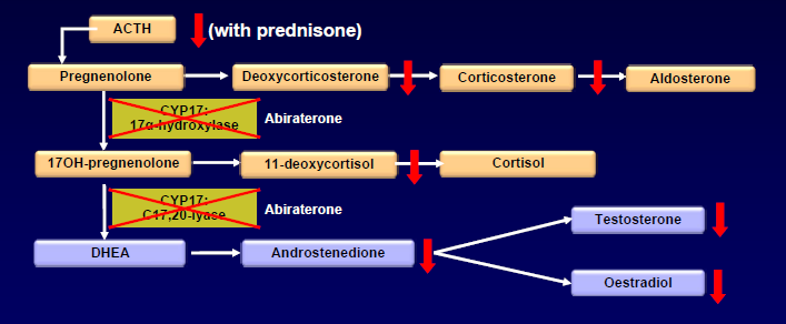 ARTA - AR targeted agents