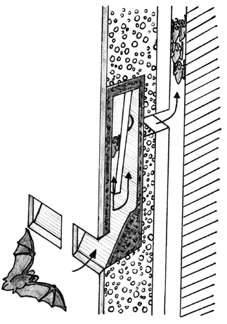 4.4.1 Štěrbinové úkryty v panelových domech Jedná se zejména o spáry mezi panely, štěrbiny za izolací, škvíry za obložením balkónů či nad okny nebo dilatační spáry mezi domy, které mají být v průběhu