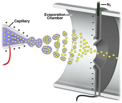 Electrospray ionization Kapičky nesou náboje na svém povrchu a zároveň se z nich odpařuje rozpouštědlo.