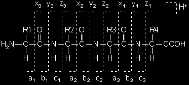 Fragmentace peptidů PSD a, b, y ionty CID - y, b ionty; high energy CID - možnost