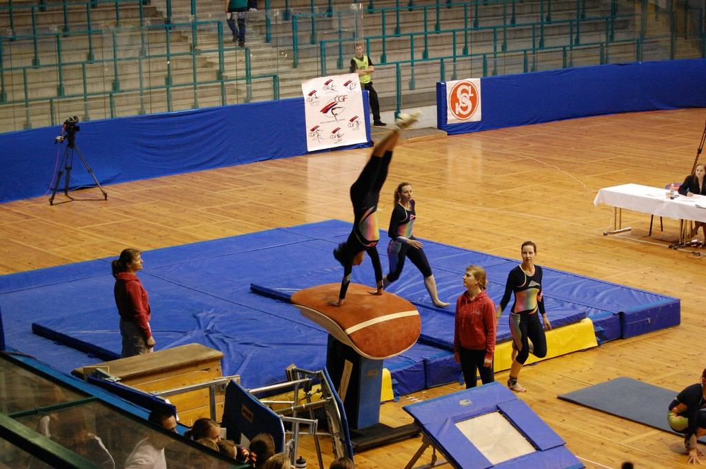 Toto nářadí tvoří: Trampolína Rám Průřez 3 5cm Rozměry rámu 110 125cm Výška předního rámu 20 40cm Výška zadního rámu 45 70cm Pružící elementy Kovové pružiny nebo gumová lana Odrazová plocha Minimálně