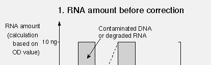 problém: precizní kvantifikace mrna spektrofotometrické stanovení koncentrace RNA nemusí být