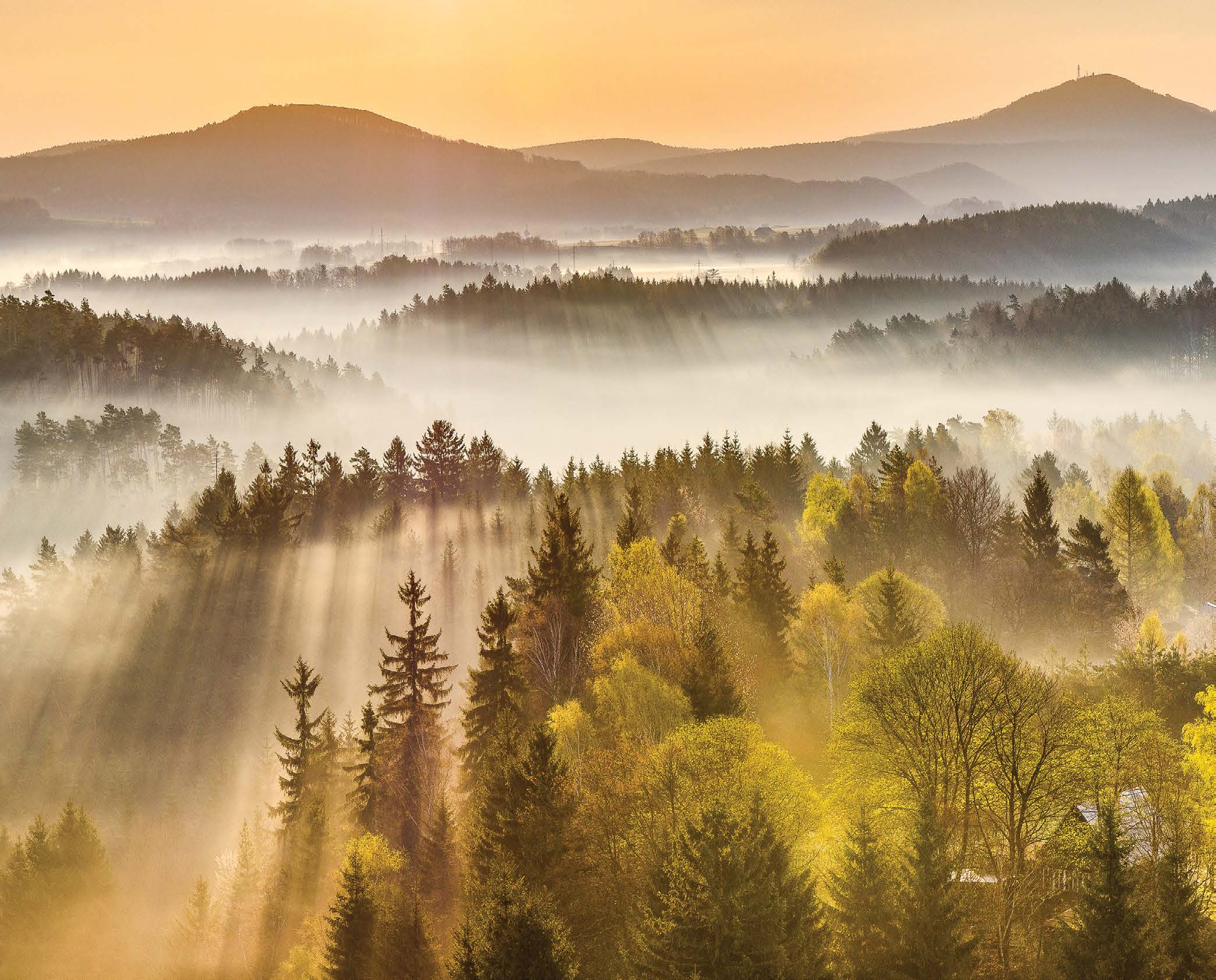FSC Česká republika FSC - Odpovědné lesní hospodaření Manuál hospodáře pro FSC certifikovaný les Podpořeno grantem z