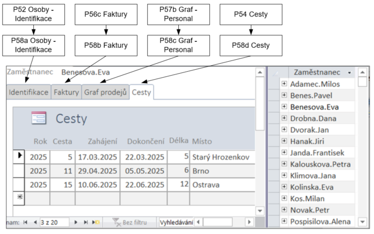 5 Formuláře 123 Vytvoření a přejmenování stránky Odstranění stránky Pořadí stránek V kartě jsou přichystány dvě stránky.