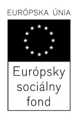 2013 VÝZVA NA PREDKLADANIE PONÚK v zmysle 9 ods. 9 zákona č. 25/2006 Z.z. o verejnom obstarávaní a o zmene a doplnení niektorých zákonov v znení neskorších predpisov 1.