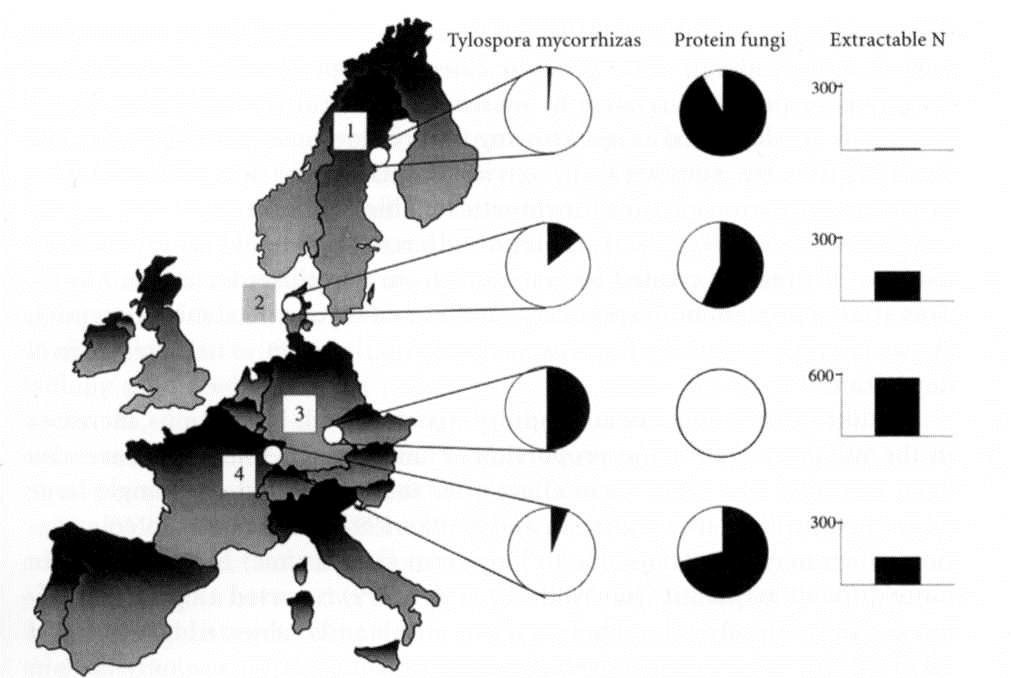 Analýza ECM společenstev smrku ztepilého na