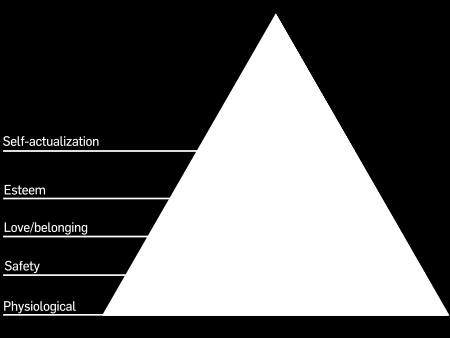 na nižší a vyšší. Mezi nižší nedostatkové potřeby patří první dvě úrovně. Vyšší jsou pak další tři. Nejprve je podle něj potřeba uspokojit potřeby nižší a až poté vyšší.