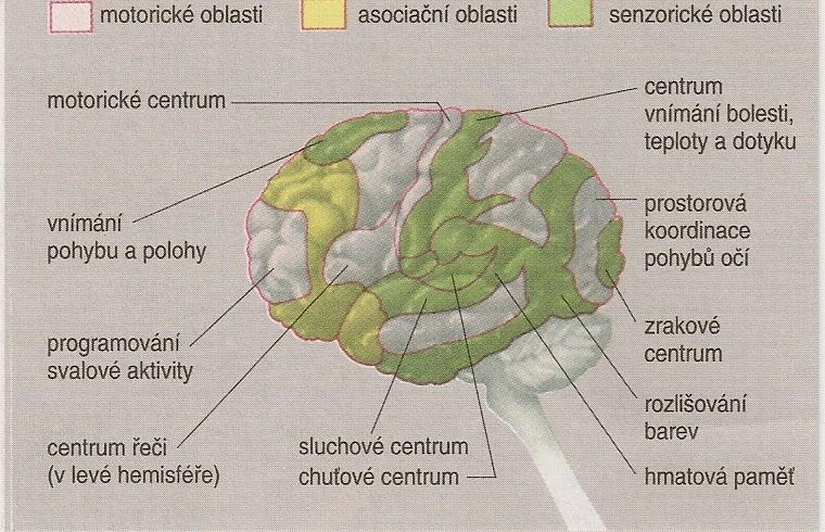 školy, 1996 Zdroj: NORBERT CIBIS et al.