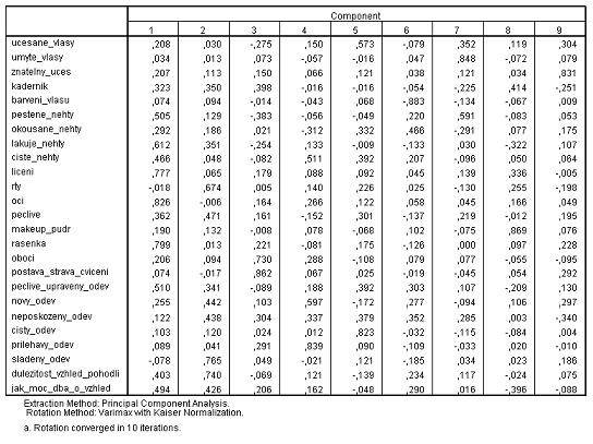 Tabulka 6 Faktorová analýza položek z dotazníku Péče o vzhled s identifikací devíti hlavních