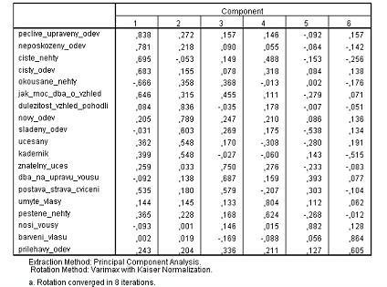 faktor) Tabulka 7 Faktorová analýza položek z dotazníku Péče o vzhled s identifikací šesti