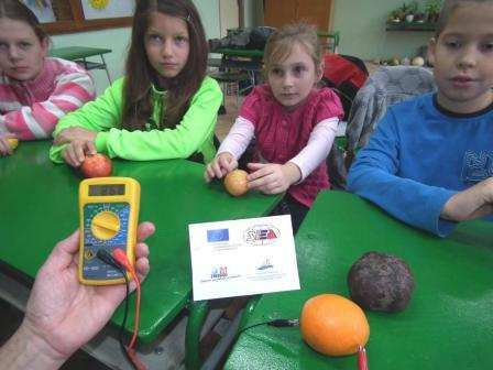 Spolupráca so základnými školami CHUTNÁ ELEKTRINA - meranie elektrického napätia v ovocí