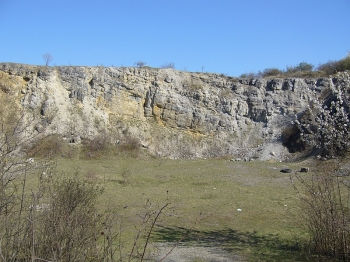 Paleozoické horniny Kosíře tvoří výraznou elevaci vystupující z mírně zvlněného reliéfu, který je vázán na strukturu Hornomoravského úvalu.
