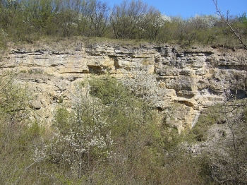 Z regionálně geologického hlediska je Velký Kosíř situován na styku dvou významných jednotek Českého masivu a Západních Karpat.