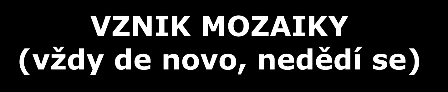 VZNIK MOZAIKY (vždy