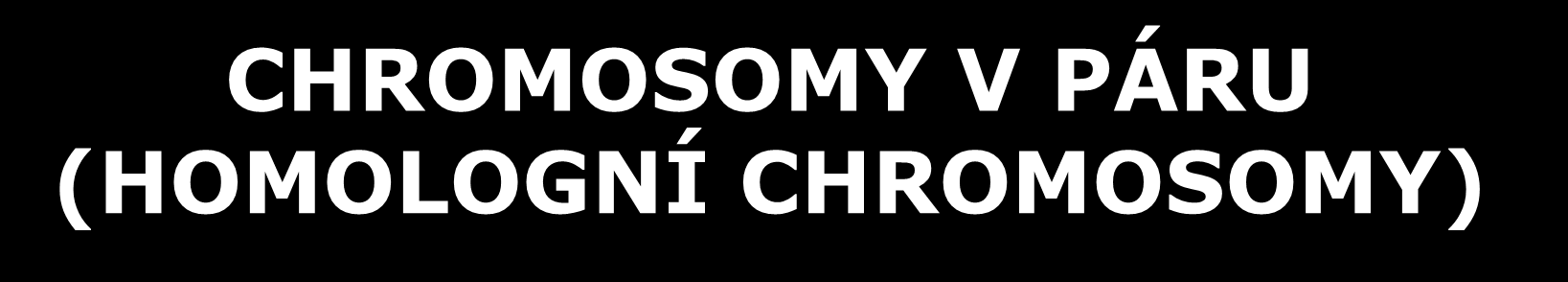 CHROMOSOMY V PÁRU (HOMOLOGNÍ CHROMOSOMY) jeden chromosom pochází od jednoho, druhý od druhého rodiče abnormalita s klinickými důsledky (postižení jedince) chromosomy v