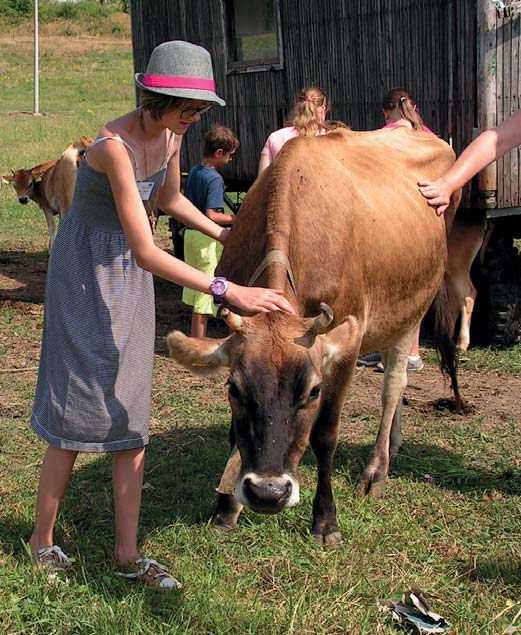 ÚSPĚŠNÉ PROJEKTY ERFOLGREICHE PROJEKTE Poznej sousedův region úspěšný projekt na cílové čáře Lerne die Nachbarregion kennen erfolgreiches Projekt auf der Ziellinie Podbořany, Ehrenfriedersdorf -