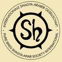 Shagya -