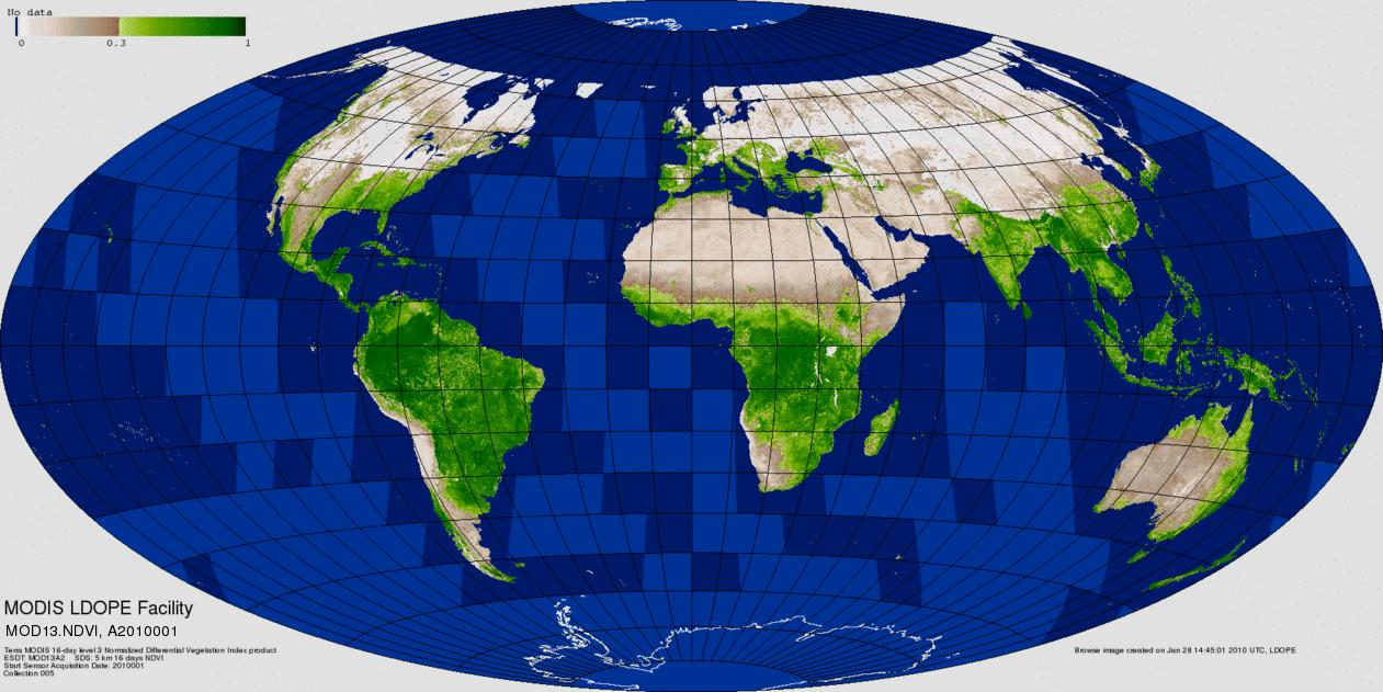 1. Časová řada : fenologické trendy vegetace MODIS NDVI