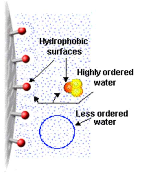 na povrchu proteinu v H 2 O slabé