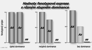 Modifikace mendelovských poměrů Z Mendelových experimentů vyplynuly nejjednodušší principy přenosu genetické informace, kdy jsou geny umístěny na homologních chromozomech, které segregují jeden od