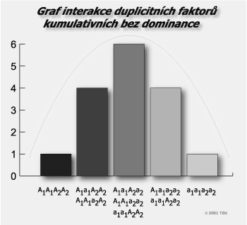 C) Duplicitní faktory kumulativní bez dominance tento typ interakce se vyznačuje tím, že mezi alelami jednotlivých párů je buď poměr neúplné dominance, nebo není vůbec možno hovořit o dominanci, ale