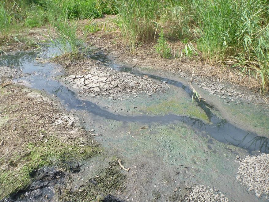 Vyplavování usazeného kalu vede k postupnému zanášení filtrů, čímž vznikají povrchové proudy odpadní vody, způsobující provozní problémy zejména s dodržením parametrů