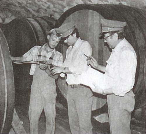 sladké látky necukerná sladidla - polyalkoholy glykol nejjednodušší sladký polyol používaný v nemrznoucích směsích rakouský vinařský skandál 1985 - export jakostních vín převyšoval možnosti vrácení