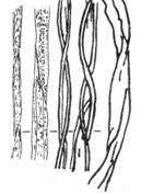 org/wiki/vata Buničitá vata se vyrábí ve tvaru listu z bělené sulfitové nebo sulfátové buničiny, do které se