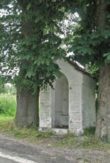 českofalcká mohylová kultura (byla nazvána podle typického druhu pohřebních památek mohyl a je úzce spjata se soudobým osídlením bavorského Podunají).