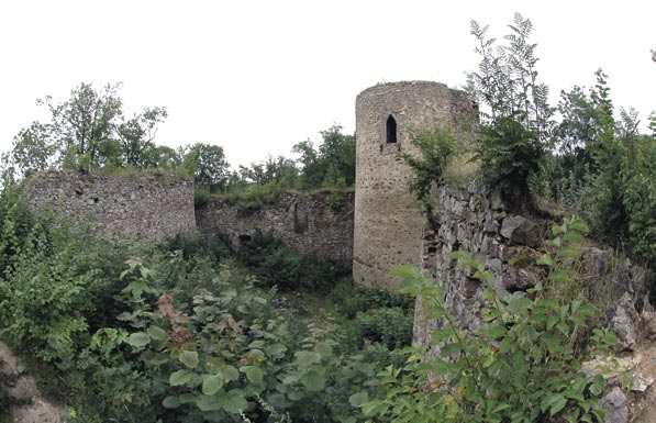 Prvním držitelem hradu byl významný rod Buziců, z nichž byl asi nejznámější Vilém Zajíc z Valdeka. Ve 14.