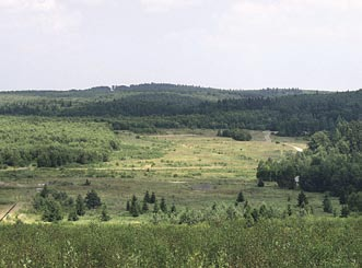 Cílová plocha střelnice se nachází 7 km severovýchodně od zámečku Ferdinandsko a provádí se zde střelba z CP-34 do upravené plochy s maketami (v jiných