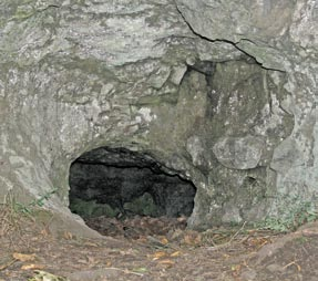 Mezi chráněné živočišné druhy náleží hnědásek chrastavcový, kuňka ohnivá, losos atlantský a modrásek bahenní; z rostlin je chráněný koniklec otevřený.