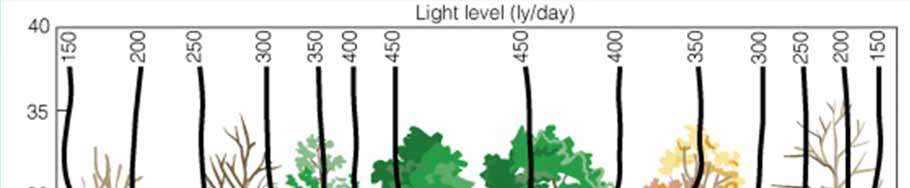 Seasonal variations Deciduous